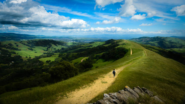 Beautiful rolling hills and landscape of Danville and the East Bay Area